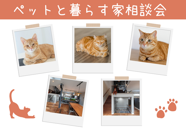 愛猫・愛犬と幸せに暮らす家相談会×Amazonギフト券1万円プレゼント★〈2月限定〉のメイン画像