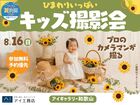  アイギャラリー和歌山　プロのカメラマンが撮る　ひまわりいっぱい🌻キッズ撮影会のメイン画像
