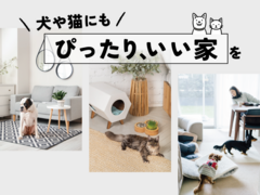 ペットと暮らす家づくり相談会のメイン画像