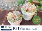 佐野CRT展示場　暮らしに緑を添える 多肉植物寄せ植えのメイン画像