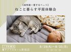 ねこと暮らす平屋体験会のメイン画像