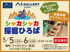 アイギャラリー新潟（ショールーム併設型住宅展示場）　シャカシャカ採掘広場のメイン画像