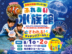 ふれあい水族館 in 光の森のメイン画像