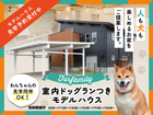 人も犬も、楽しめるお家！室内ドッグラン付きモデルハウス見学会のメイン画像