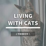 愛猫家住宅セミナーのメイン画像