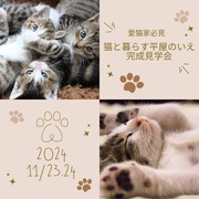 【猫と暮らす平屋のいえ】完成見学会【益田市】のメイン画像