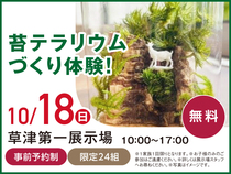 草津第一展示場　苔テラリウムづくり体験！　来場予約のメイン画像