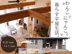 【アニマルBinO】わんこ・にゃんこと暮らす平屋生活のメイン画像