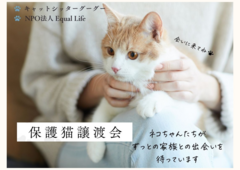 保護猫譲渡会【しっぽハウス】のメイン画像