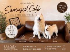 【アニマルBinO】883style サモエドカフェ 毎週土日 OPEN！！のメイン画像