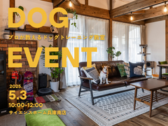 【初心者歓迎】プロが教えるドッグトレーニング教室のメイン画像