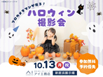 松山展示場　スキップフロア平屋構造見学会　来場予約のメイン画像