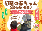 松茂展示場　〈名西郡石井町〉家中明るく開放感のある平屋　完成見学会のメイン画像