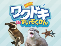 『ワクドキミニすいぞくかん』のメイン画像