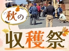 【茨城木材相互市場】秋の収穫祭(※当社と約定をかわしたお取り先様のみのイベント)のメイン画像
