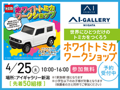 アイギャラリー新潟（ショールーム併設型住宅展示場）ホワイトトミカワークショップのメイン画像