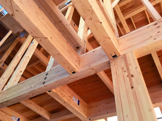 建売住宅構造見学会〈豊岡市弥栄町〉 のメイン画像