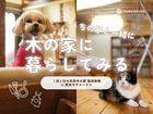 「木の家に暮らしてみる」モデルハウス宿泊体験会のメイン画像