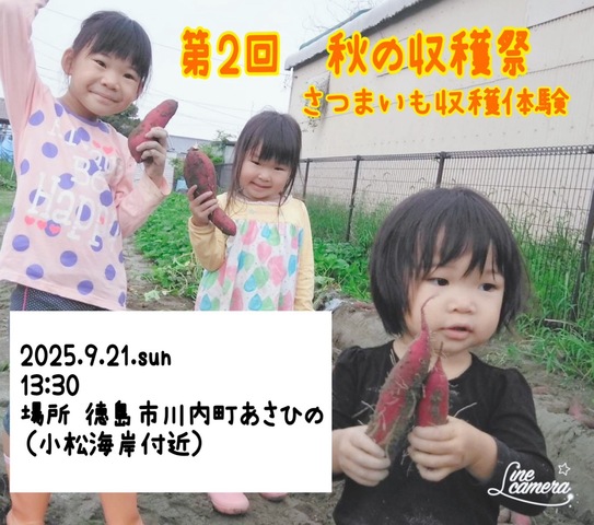 早い者勝ち！特別芋掘りイベント +掘った芋の重さ当てて　新米10ｋｇ　ゲットしようのメイン画像
