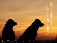 【アニマルBinO】今だけ！同時見学会開催!!リゾートドッグヴィレッジ木更津金田のメイン画像