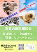 寝苦しい夏がリノベで変わる｜断熱リノベ相談会のメイン画像