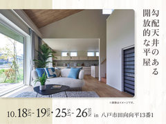 アイパーク八戸（複合型住宅展示場）　勾配天井のある開放的な平屋のメイン画像