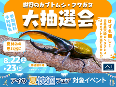 鳥栖展示場　世界のカブトムシ・クワガタをお家に迎えよう！ハズレなし大抽選会のメイン画像
