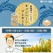 新米プレゼントのメイン画像
