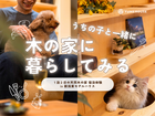 「木の家に暮らしてみる」モデルハウス宿泊体験会のメイン画像