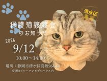 【第4回】保護猫譲渡会のメイン画像