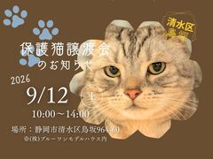 【第4回】保護猫譲渡会のメイン画像