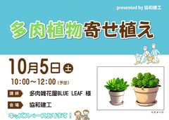 多肉植物寄せ植えのメイン画像