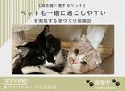 四国中央市【高性能×愛するペット】ペットも一緒に過ごしやすいを実現する家づくり相談会【川之江店】のメイン画像