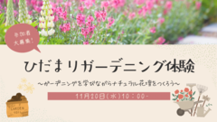 ナチュラル花壇をつくるガーデニング体験〜球根と花苗の植え付け〜のメイン画像