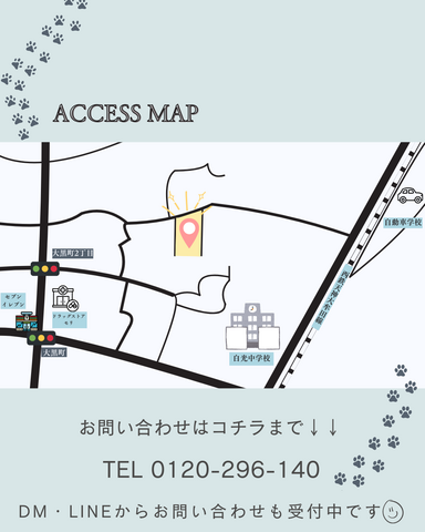 【大牟田市下白川町】完成見学会のメイン画像