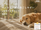 💡迷ったらココ‼️🐶ペット×高性能🐱【宇都宮東店】ペットも一緒に過ごしやすい家づくり相談会🏠のメイン画像
