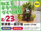 草津第一展示場　加工苔テラリウムづくり体験！　来場予約のメイン画像