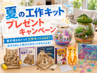 札幌北円山展示場　夏の工作キットプレゼントキャンペーンのメイン画像