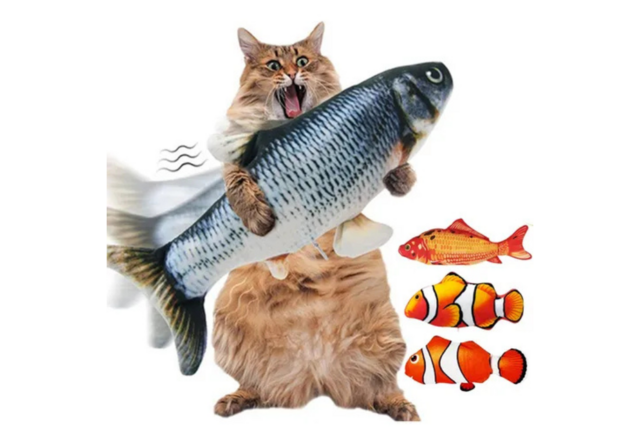 【茨城県取手市 】愛猫家住宅見学イベント開催！２日間限定豪華来場プレゼントつき。【BinO】のメイン画像