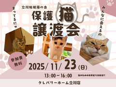 🐱保護猫譲渡会＆ペット共生住宅相談会開催【11月23日・参加無料】のメイン画像