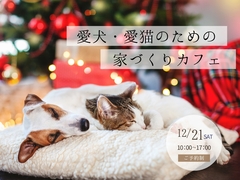 愛犬・愛猫のための家づくりカフェ【新築・リフォーム・お庭】のメイン画像