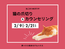 ねこ想いの安心ケア♪ねこのつめきりやさん＆カウンセリングのメイン画像