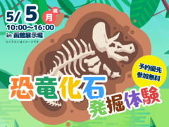 函館展示場　恐竜化石発掘体験！のメイン画像