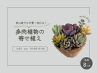 初心者でも可愛く作れる｜春の多肉植物寄せ植えワークショップ（持ち帰りOK）のメイン画像