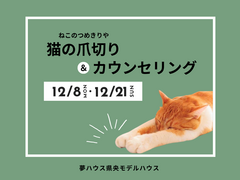 ねこ想いの安心ケア♪ねこのつめきりやさん＆カウンセリングのメイン画像