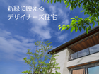 新緑に映えるデザイナーズ住宅のメイン画像