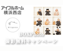 BOXPhoto 撮影📷️ 撮影無料キャンペーン開催！のメイン画像