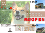 【アニマルBinO】モデルハウス販売会｜ちょうどいい2階建てLOAFER｜千葉県木更津市牛込のメイン画像