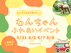 わんちゃんふれあいイベントのメイン画像