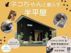 《丸亀市まんのう町》ネコちゃんが楽しめる工夫が満載の半平屋のメイン画像
